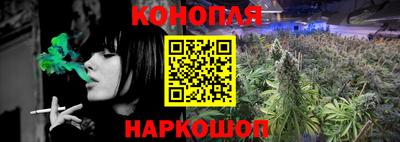 дурь Камышлов