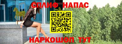 дурь Камышлов